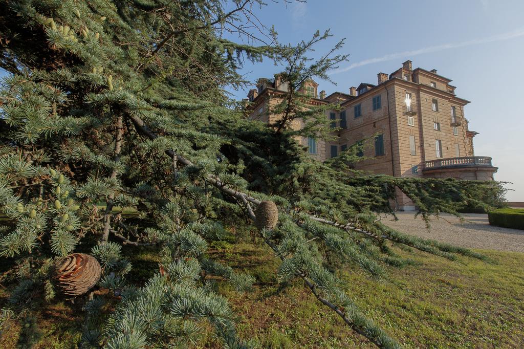 Marchesi Alfieri - Cantine E Ospitalita San Martino Alfieri Eksteriør bilde
